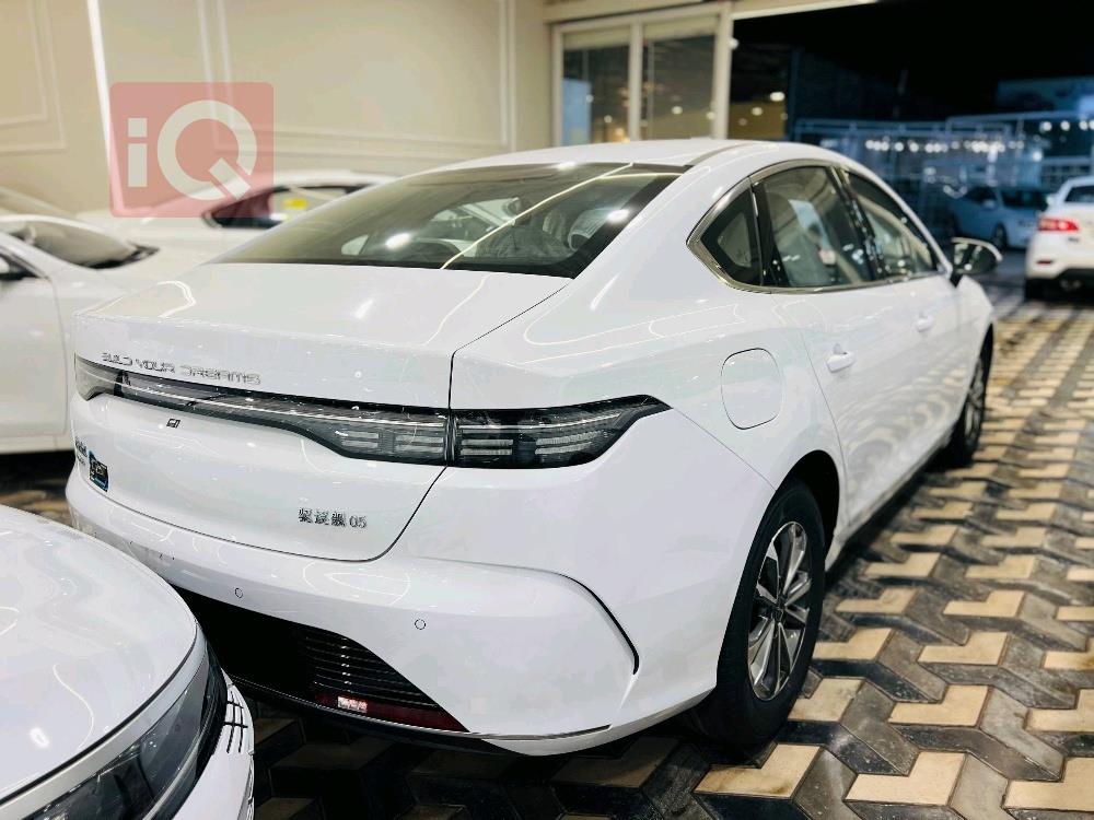 بي واي دي ديستروير 05